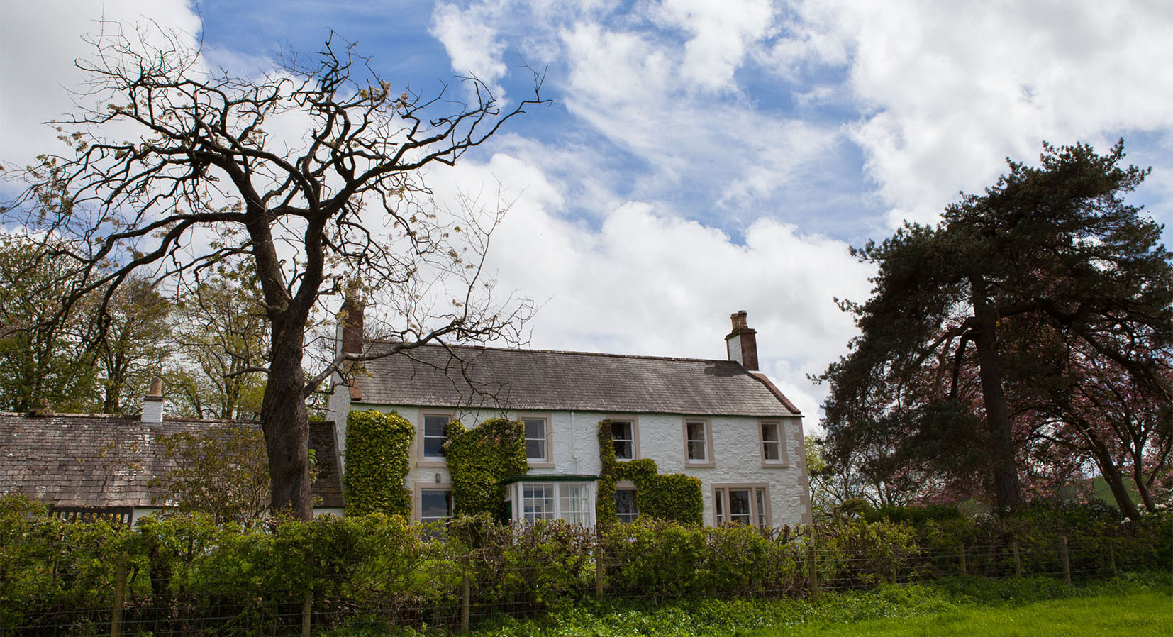 house-front-large